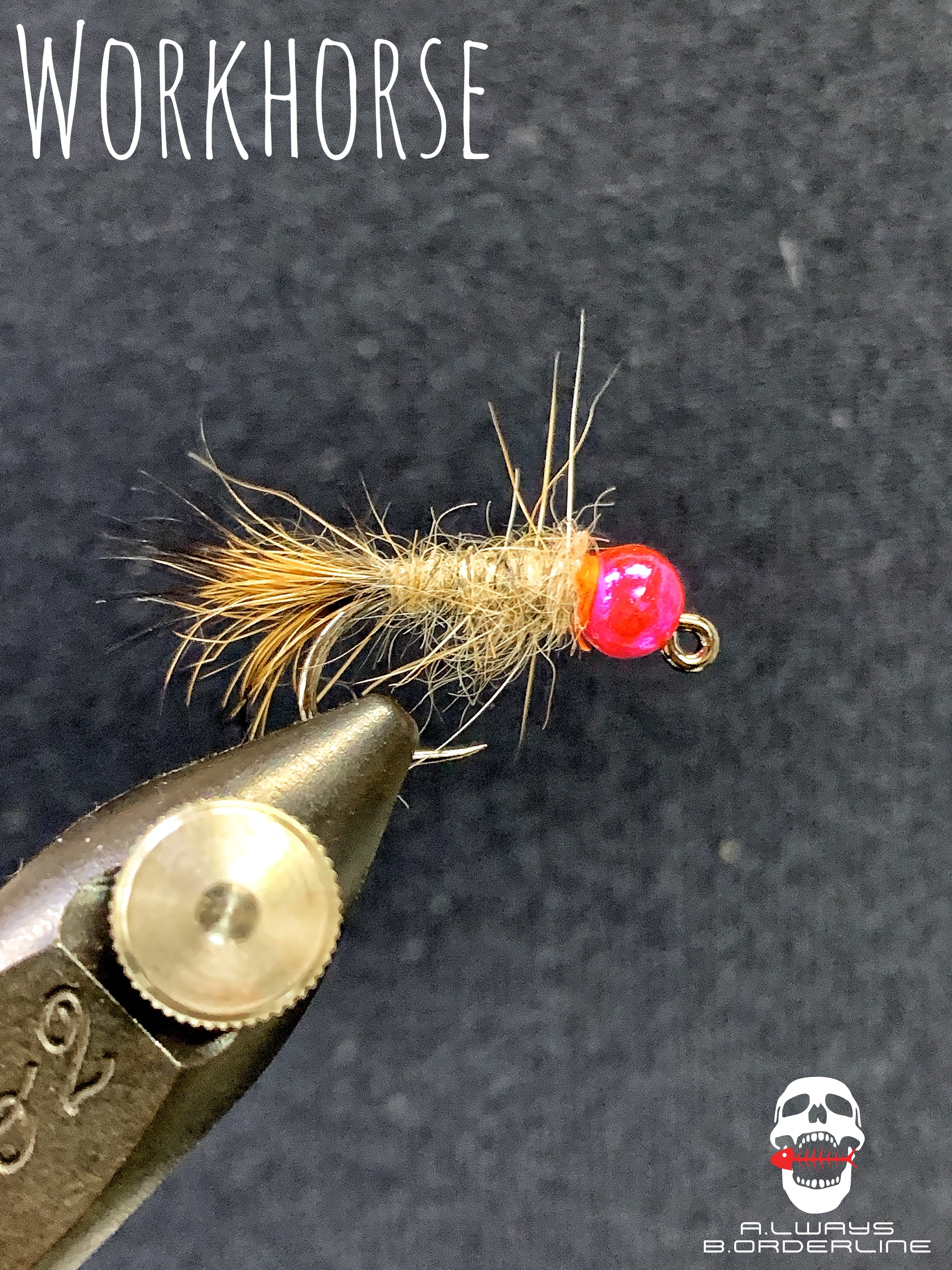 Workhorse - Sportinglife Turangi